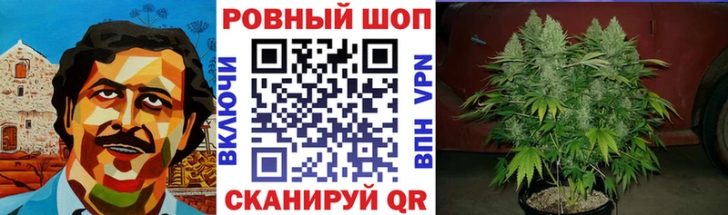 Купить наркотики сайты Микунь ГАШИШ  A-PVP  Меф  МАРИХУАНА 