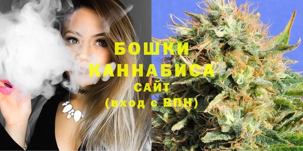 гидра Белокуриха