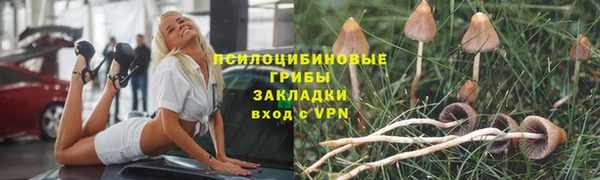 крисы Богородск