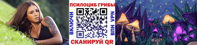 купить наркоту  Микунь  Галлюциногенные грибы MAGIC MUSHROOMS 
